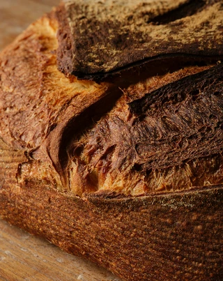 Pane Grano Duro